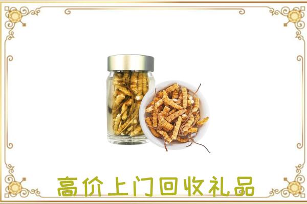 云州区周边回收虫草